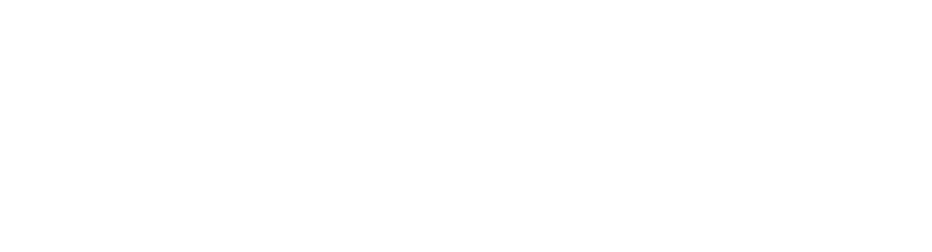 BRÜNING PIMENTEL